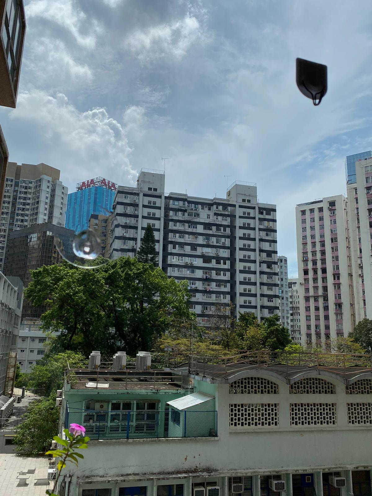 建華花園 建華花園